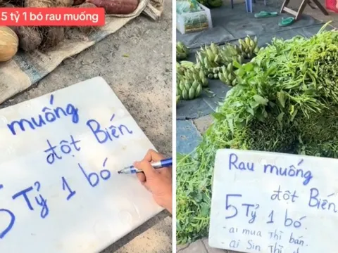 Anh bán rau treo biển 5 tỷ cho bó rau muống đột biến, dân mạng đồng loạt gọi tên Thái Công