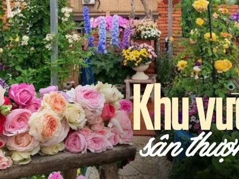 Ngắm khu vườn sân thượng rộng 35m2, nơi bạn có thể ngồi giữa “biển” hoa và thưởng thức trà chiều