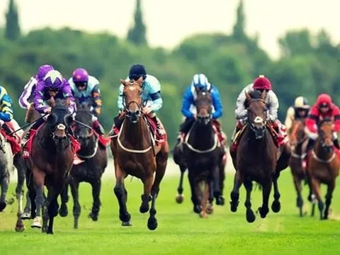 Đại gia Hàn Quốc đằng sau trường đua ngựa gần 500 triệu USD ở Sóc Sơn: Chủ khách sạn dát vàng đầu tiên ở Hà Nội, đầu tư dự án sân golf dính nhiều sai phạm