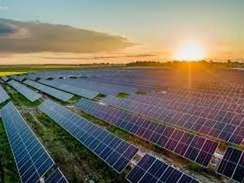 Licogi 13, Halcom, Tập đoàn Sao Mai... bị tỉnh Hậu Giang bãi bỏ chủ trương đầu tư các dự án điện mặt trời