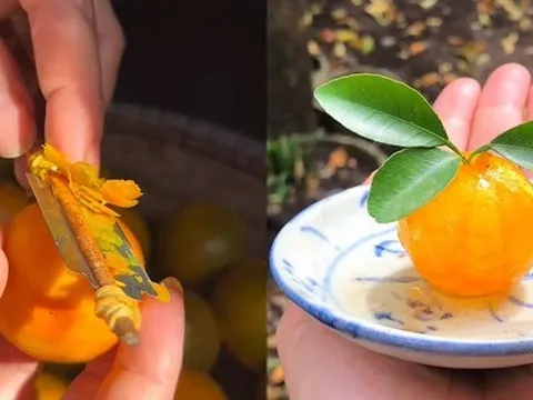 Một món mứt Tết cổ xưa của người Huế, chỉ xem thôi cũng phải "nín thở" bởi độ kỳ công