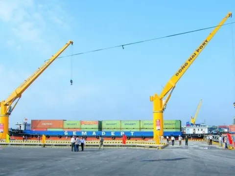 Cảng Đồng Nai báo doanh thu và lợi nhuận đạt kỷ lục