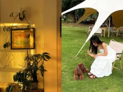 Bỏ phố về Đà Lạt mở homestay sau 1 năm phải đóng cửa: Doanh thu chỉ đủ trả tiền thuê nhà, mất trắng 400 triệu