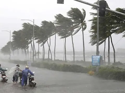 Chuyên gia 'bắt mạch'nhiều điểm bất thường về thiên tai năm nay