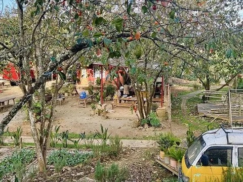 Thả hồn và nông trại ở Đà Lạt, thưởng thức tinh hoa của hành trình làm “nông nghiệp tử tế”