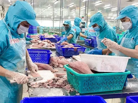 VASEP: Doanh nghiệp thủy sản cần chủ động mua bảo hiểm phòng ngừa rủi