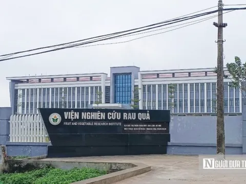 Đề tài hoa lan cấp Quốc gia: Kết quả thực tế có hay như báo cáo?