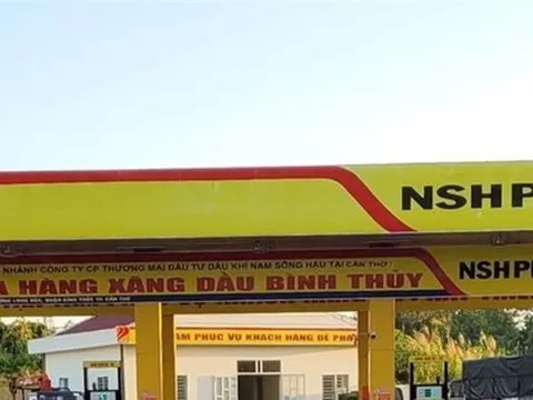 Tổng cục Thuế lên tiếng về nợ 'khủng' của doanh nghiệp xăng dầu