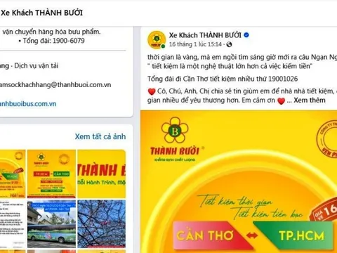 Sở GTVT Tp.HCM lên tiếng về thông tin công ty Thành Bưởi mập mờ hoạt động lại