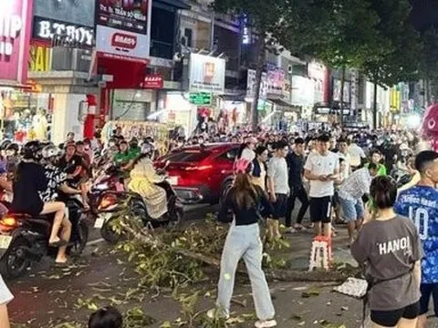 TP.HCM: Nhánh cây rơi xuống đường, một người bất tỉnh