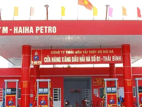 "Ông lớn" xăng dầu Hải Hà đã bị phạt 5 lần liên quan quỹ bình ổn