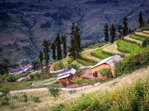 Điểm đến trong nước được khách Việt tìm nhiều nhất trên Google 2023: Thuộc miền Bắc, cách Hà Nội gần 300km