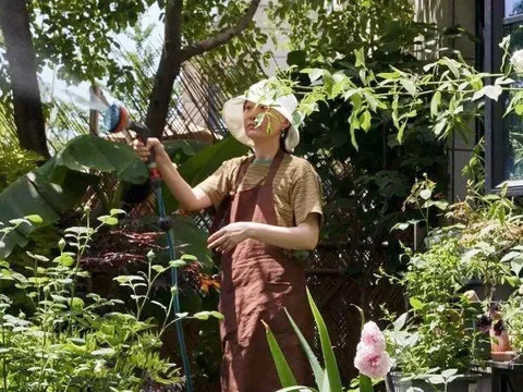 39 tuổi, tôi tận hưởng cuộc sống độc thân, nghỉ hưu sớm trong "ngôi nhà dát vàng" 218m2 giữa thủ đô