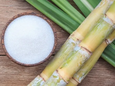 Giá đường thế giới 'lao dốc' giai đoạn cuối năm 2023, các công ty trong ngành báo lợi nhuận giảm mạnh