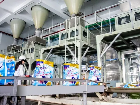 4 năm sau khi được Masan đầu tư 560 tỷ đồng, hãng bột giặt đứng sau các thương hiệu Omo, Sunlight... thăng hoa với lợi nhuận chưa từng có