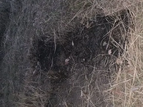 Vụ mặt đất tự bốc cháy ở Đắk Lắk: Ghi nhận hơn 20 điểm cháy