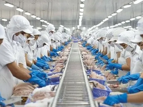 Lợi nhuận cả năm 2023 của "nữ hoàng cá tra" Vĩnh Hoàn bốc hơi 53%