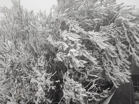 Nguyên nhân của đợt rét kỷ lục trong 8 năm qua, nhiều nơi có băng giá, mưa tuyết