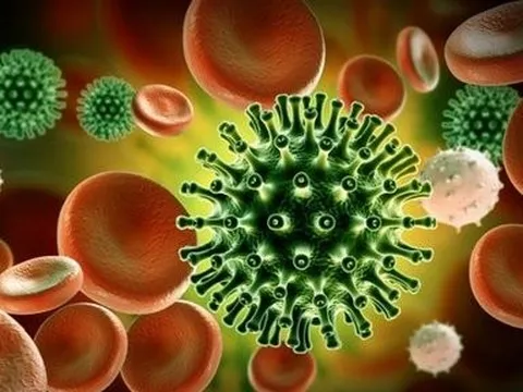 Bộ Y tế nói về biến thể phụ JN.1 mới xuất hiện tại Tp.Hồ Chí Minh