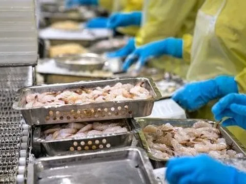 VASEP dự báo thị trường xuất khẩu tôm Việt năm 2024