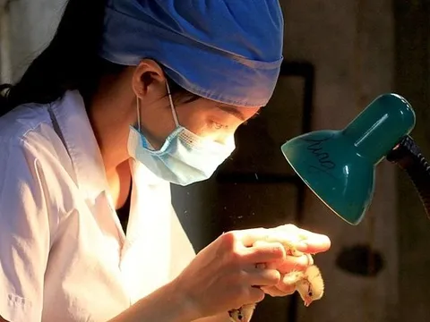 Top 4 ngành nghề độc lạ bậc nhất thế giới: Ăn thử thức ăn của thú cưng là bình thường, nghề cuối cùng gây CHOÁNG