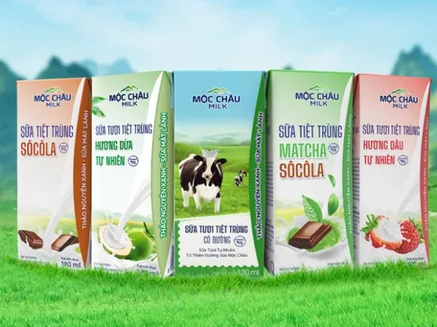 Mộc Châu Milk được vinh danh trong Bảng xếp hạng Top 500 doanh nghiệp lớn nhất Việt Nam