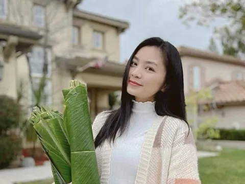 Phim Việt có mỹ nhân 17 năm trẻ mãi không già, nhan sắc thăng hạng nhưng quyết không tái xuất