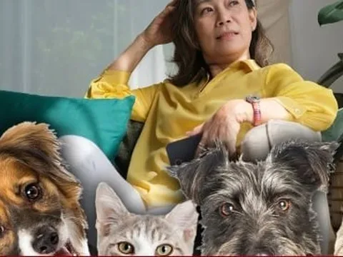 Bị 3 con bỏ mặc, bà lão để lại tài sản hơn 69 tỷ đồng cho thú cưng