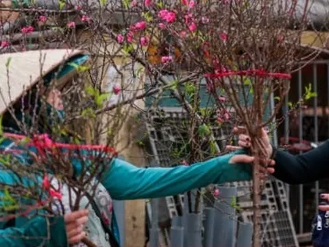 60 năm qua, thời tiết Tết năm Thìn có gì đặc biệt?