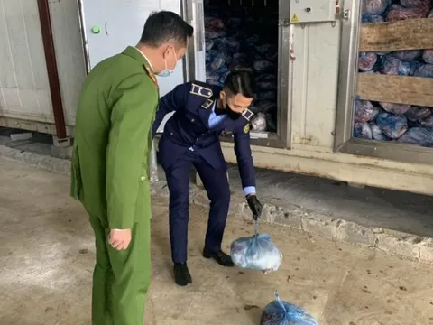 Hà Nội: Phát hiện 40 tấn thịt lợn nhiễm bệnh trong kho đông lạnh