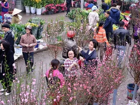 Miền Bắc sẽ đón không khí lạnh trước Tết Nguyên đán sắp tới, trời lạnh bao nhiêu độ?