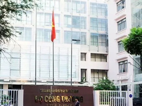 Bộ Chính trị, Ban Bí thư xem xét, thi hành kỷ luật tổ chức đảng và nhiều cán bộ đảng viên