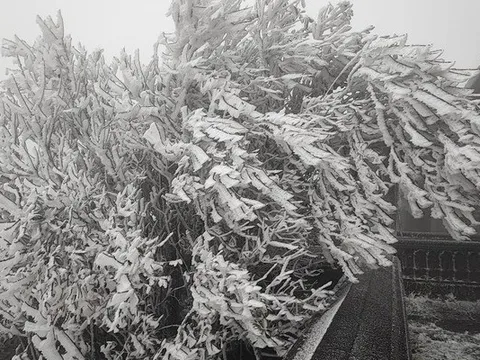 Diễn biến mới về đợt rét kỷ lục, kéo dài nhất trong mùa đông năm nay ở miền Bắc