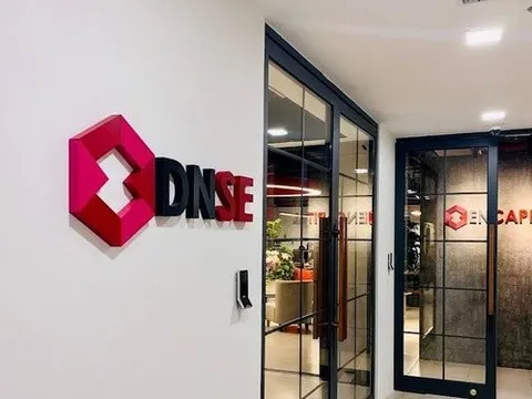 9 cá nhân mua 92% số cổ phiếu IPO của Chứng khoán DNSE là ai?