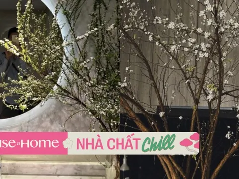 Tình hình tuyết mai chơi Tết nhà mỹ nhân Việt: Bình đã ra hoa trắng toát, bình mới chỉ chớm hé nụ