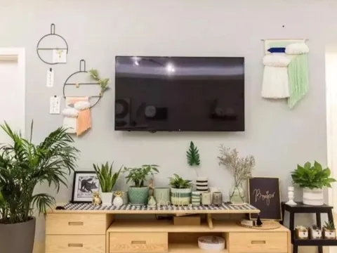 5 thứ không nên đặt cạnh ti vi, biết lý do ai cũng làm theo