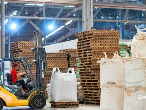 Doanh nghiệp thành lập mới tăng mạnh trong tháng đầu năm 2024