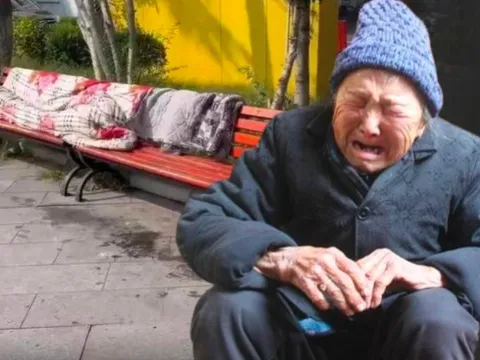 Cụ bà U80, lương hưu 7 triệu/tháng nhưng vô gia cư: Cơ quan chức năng vào cuộc phải "bó tay" vì lý do này