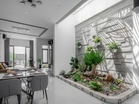 Mua cây cảnh về trưng Tết nhất định phải đặt ở 4 vị trí hút tài lộc, vận may này