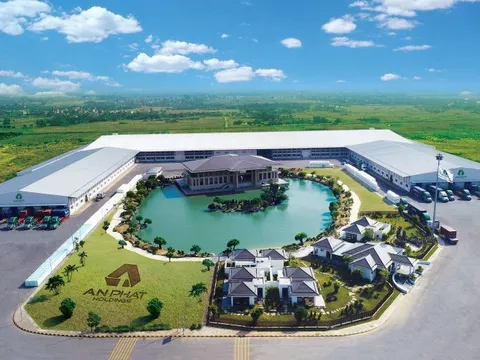 Doanh nghiệp “họ” An Phát Holdings đồng loạt báo kết quả kinh doanh tích cực trong năm 2023