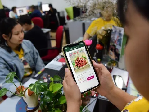 Saigon Co.op lần đầu tiên bán hàng trên Tiktok, thử nghiệm công nghệ AI