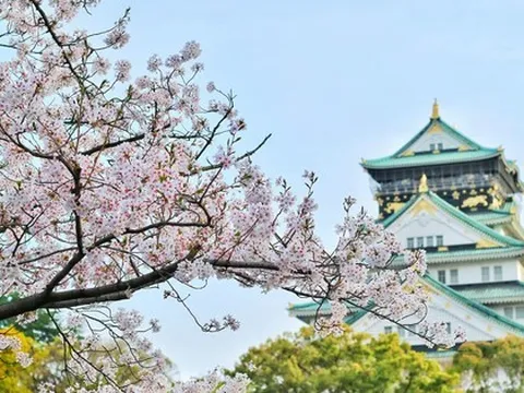 Khách Việt đổ xô du lịch Nhật Bản dịp Tết