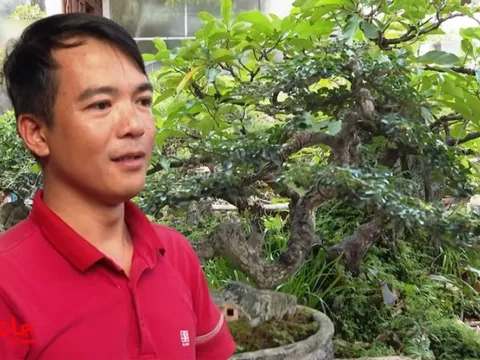 Đại gia Bình Phước nhà 3 đời chơi cây cảnh sở hữu khu vườn quý, mất chậu lan 10 tỷ cũng không nhằm nhò