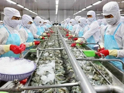 Đề xuất thêm kịch bản xấu để "giảm sốc" cho nền kinh tế