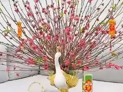 Cách cắm cành đào dăm chưng phòng khách cho 1 mùa Tết tiết kiệm mà vẫn đủ đầy, an vui
