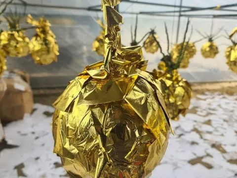 Cận cảnh công đoạn làm dừa dát vàng hút khách tại Quảng Bình