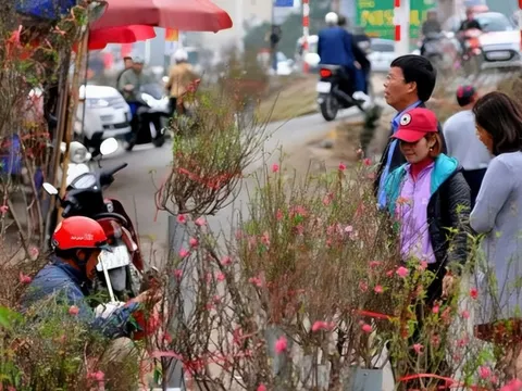 Dự báo thời tiết ngày mùng 1 Tết Nguyên đán năm 2024