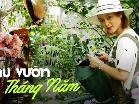 Cô gái dành 5 năm để biến khu vườn thành "cuộc gặp gỡ" tuyệt vời nhất với chính bản thân mình