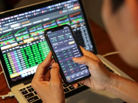 Loạt doanh nghiệp tay ngang đem tiền đầu tư chứng khoán: Vĩnh Hoàn tăng NLG, DXS, giảm KBC, DN đã bán hết HPG