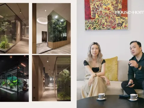 Kiểu cây chỉ cần "uống" rất ít nắng và không khí, KTS hướng dẫn Hà Linh "Nghiện Nhà", ai cũng áp dụng được